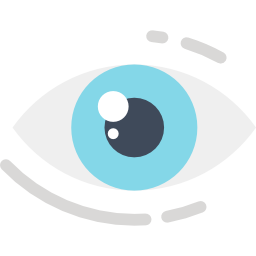 Vision Icon